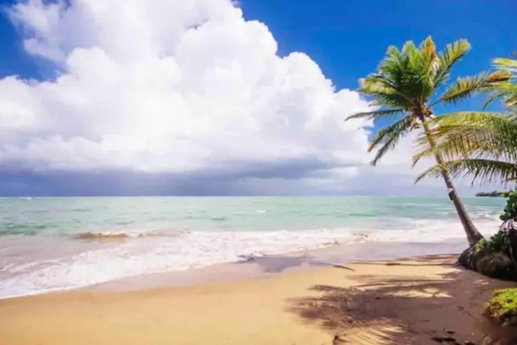 Fall In Love To Endless Summer. Charm And Private Daire Loiza Dış mekan fotoğraf